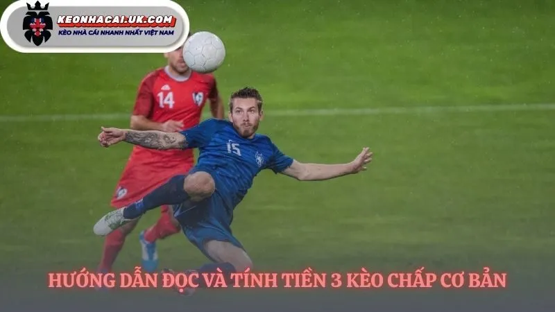 Hiểu rõ kèo châu Á là gì qua những con số